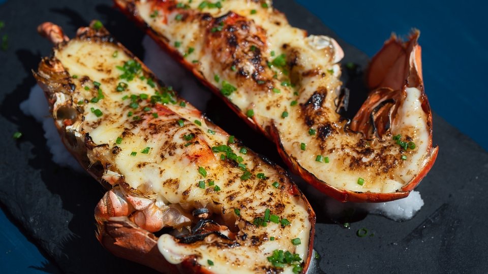 Plates of seafood on a laid-back table.