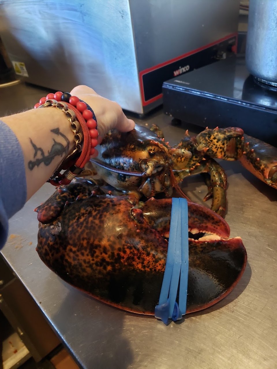 Whole Lobster